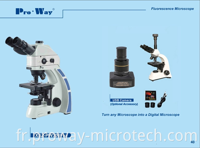 Microscope biologique fluorescent professionnel (XSZ-PW308FLU)